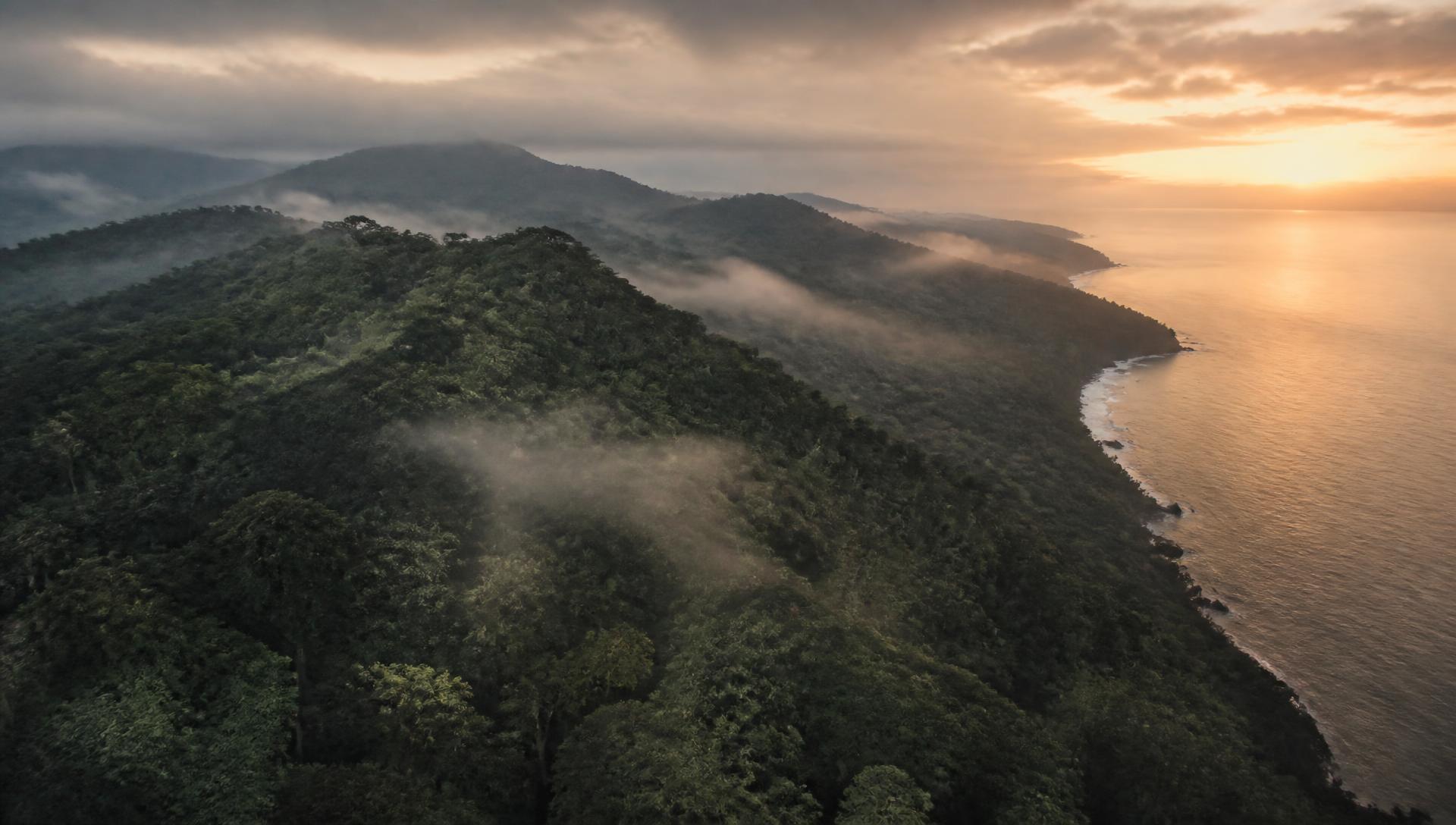 Aerial view of a Costa Rican rainforest ridge meeting the Pacific at sunrise — illustrative image